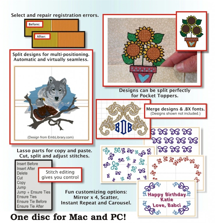 Embrilliance Enthusiast functions enumerated with embroidery design examples